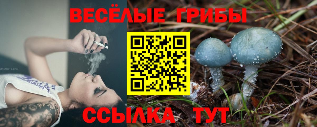 Псилоцибиновые грибы Magic Shrooms Заволжье